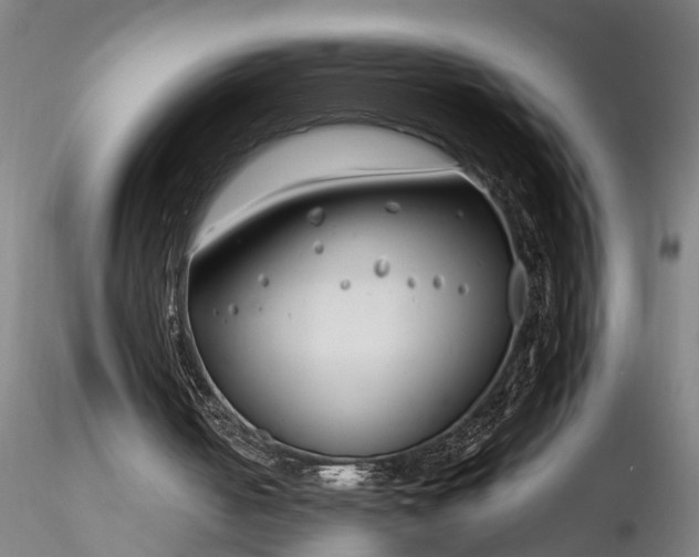 X0000116350050200912151401