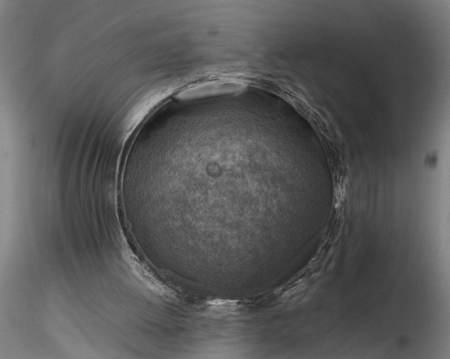 X0000116350052200912151401