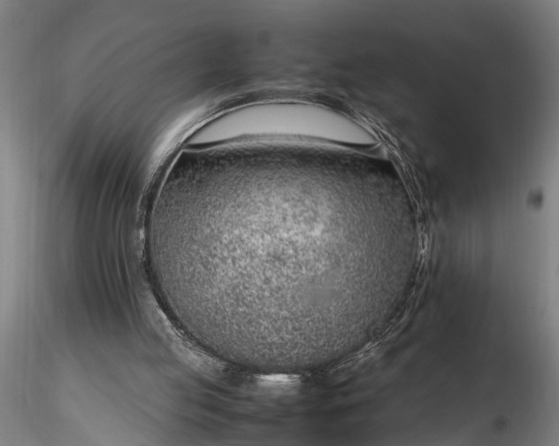 X0000116350053200912151401