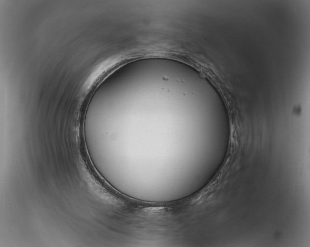 X0000116350054200912151401