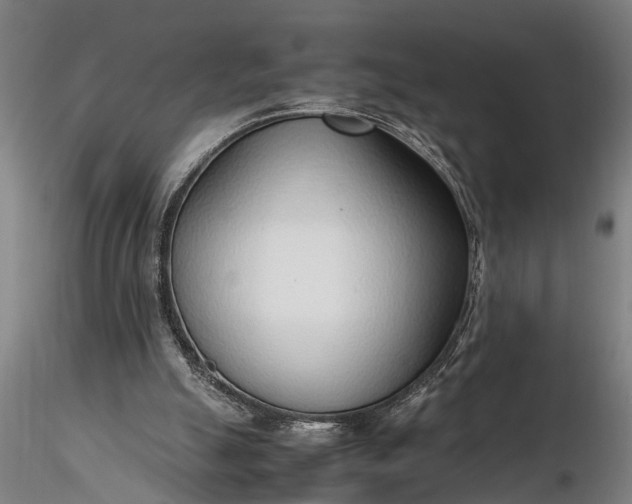 X0000116350055200912151401