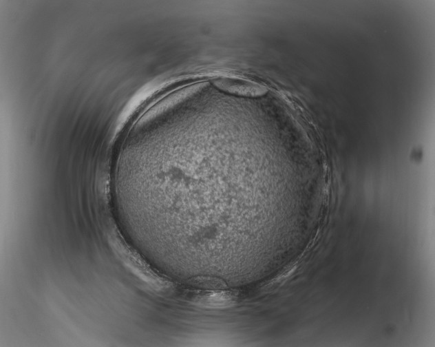 X0000116350056200912151401