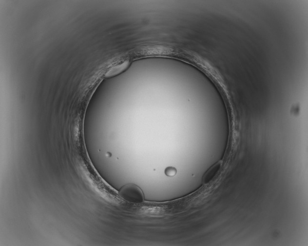 X0000116350057200912151401