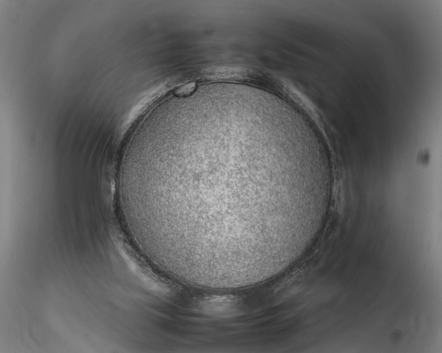 X0000116350059200912151401