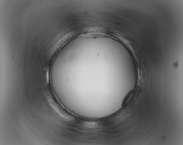 X0000116350061200912151401