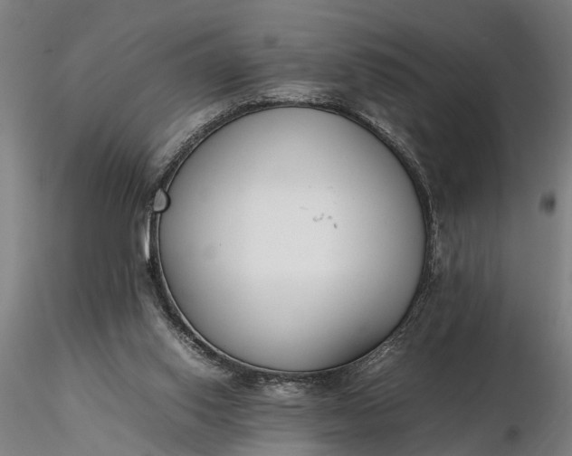 X0000116350062200912151401