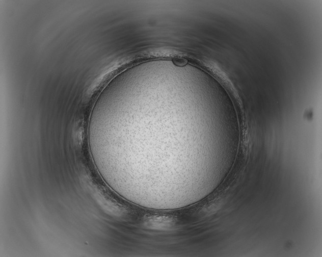 X0000116350063200912151401