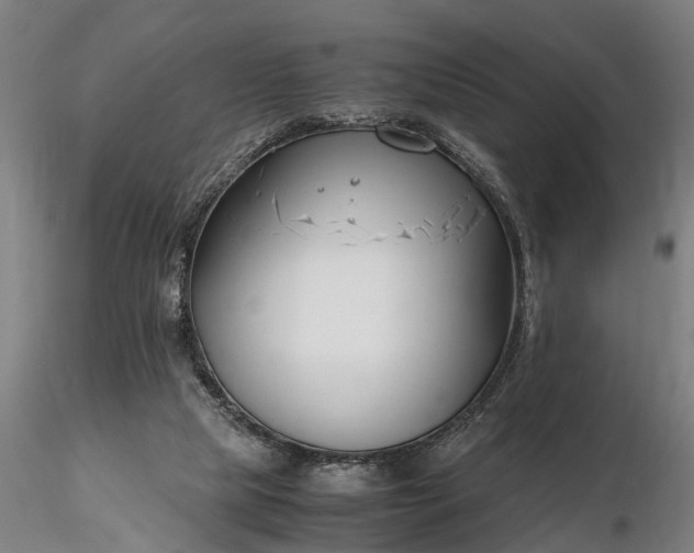 X0000116350065200912151401