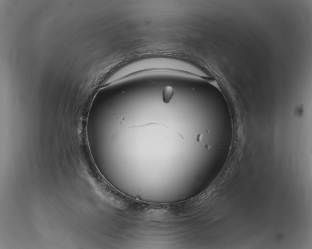 X0000116350066200912151401