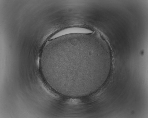 X0000116350067200912151401