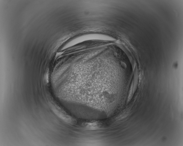 X0000116350068200912151401