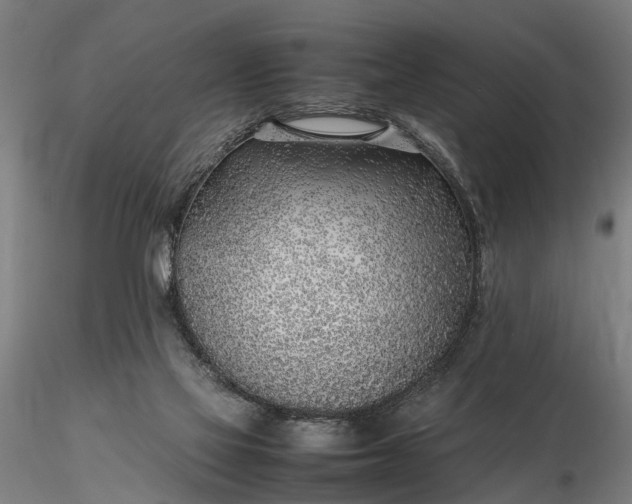 X0000116350069200912151401