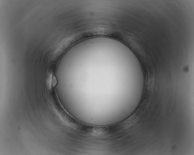 X0000116350070200912151401