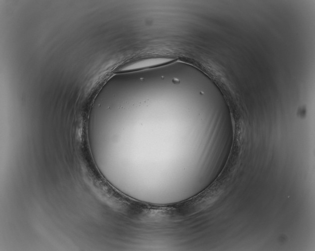 X0000116350072200912151401