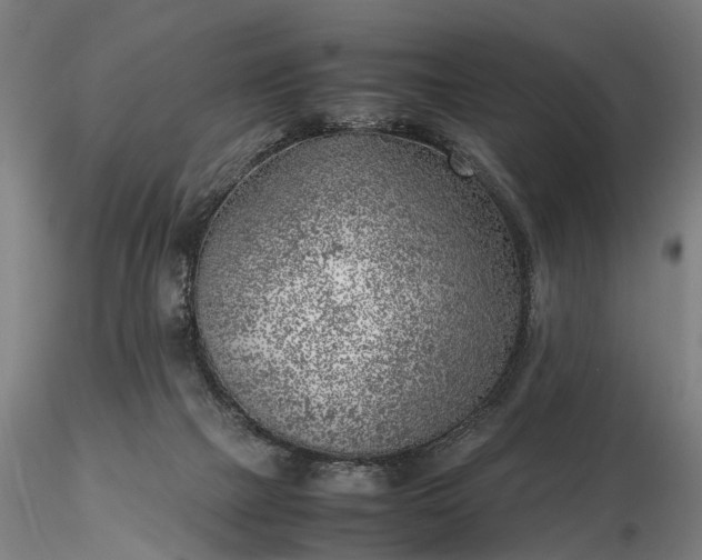 X0000116350073200912151401