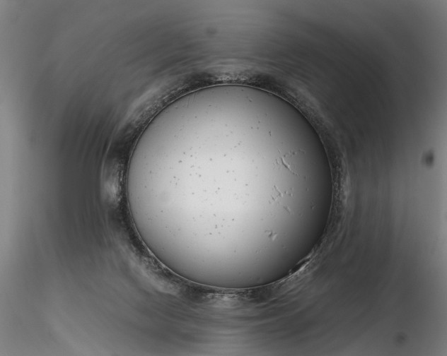 X0000116350074200912151401