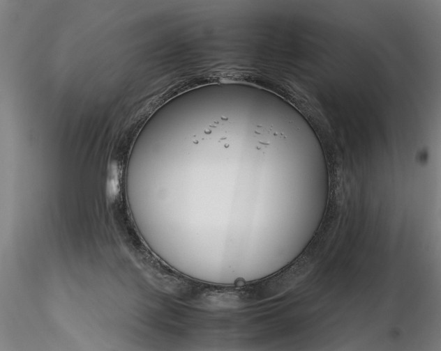 X0000116350075200912151401