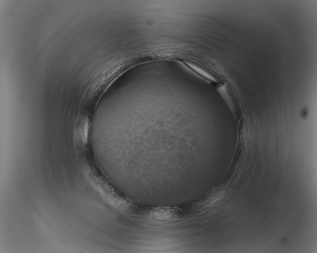 X0000116350076200912151401