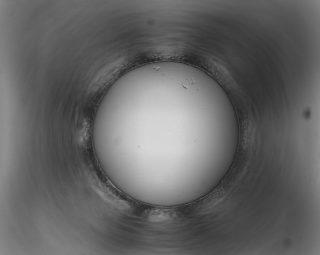 X0000116350077200912151401