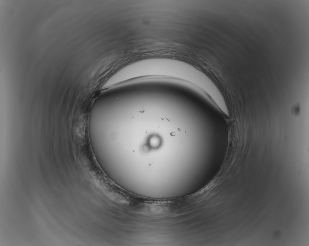 X0000116350078200912151401