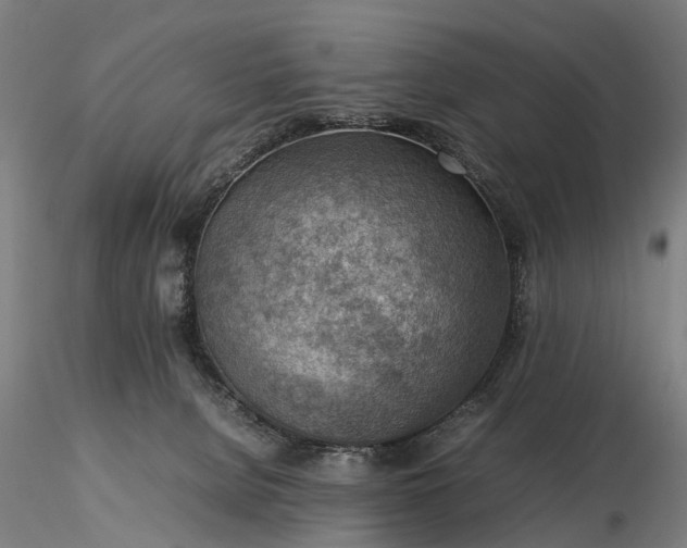 X0000116350080200912151401