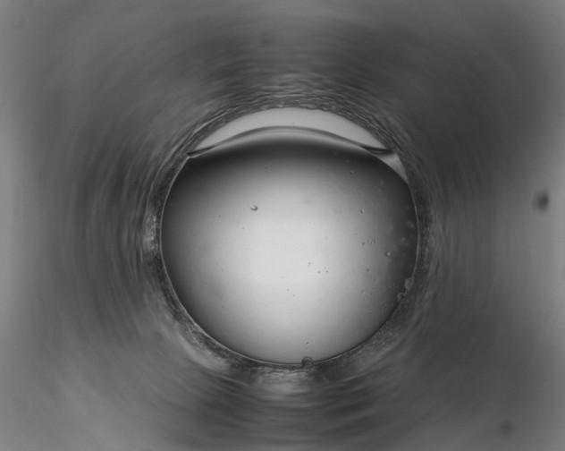 X0000116350081200912151401