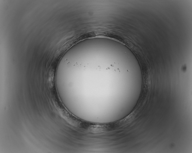 X0000116350082200912151401