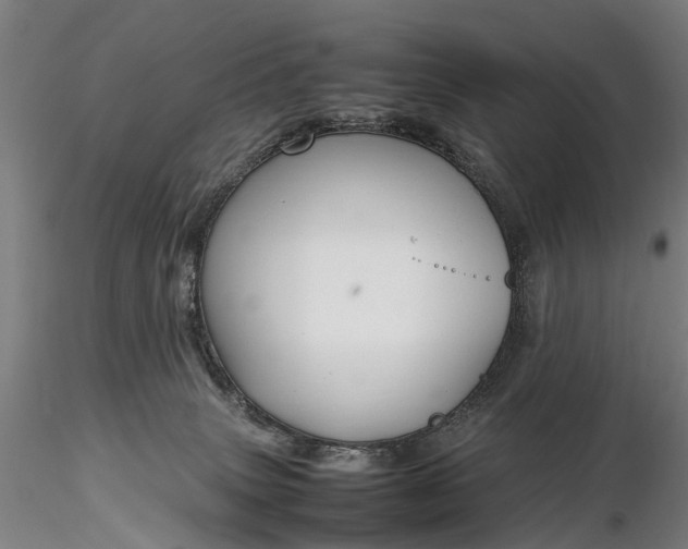 X0000116350083200912151402