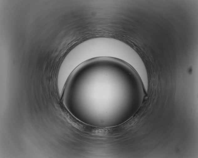 X0000116350084200912151402