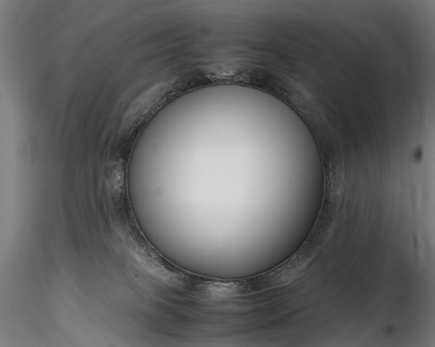 X0000116350085200912151402