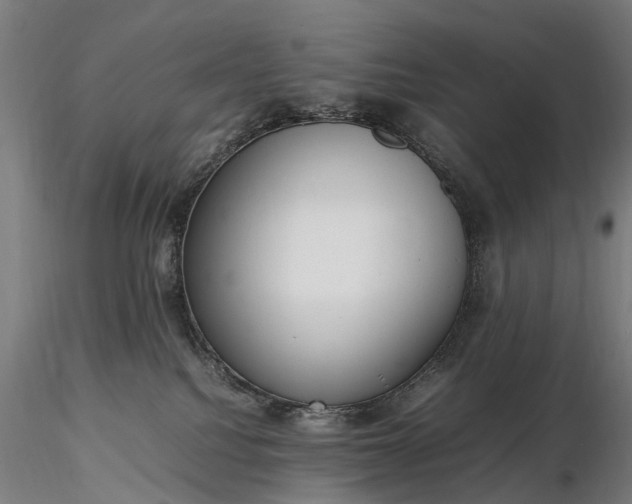 X0000116350088200912151402