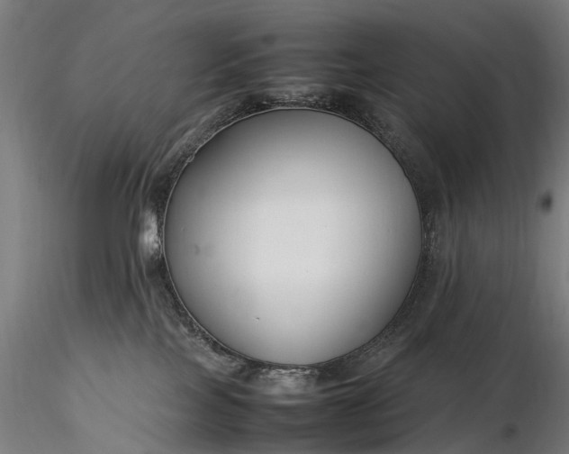 X0000116350089200912151402