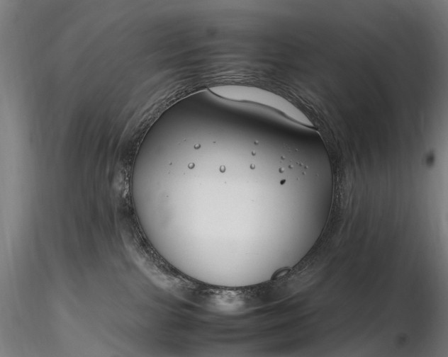 X0000116350091200912151402