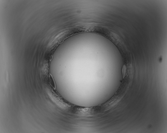 X0000116350092200912151402