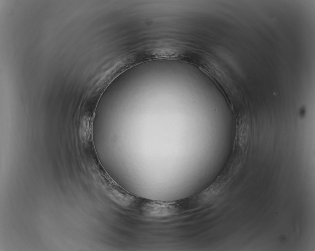 X0000116350093200912151402