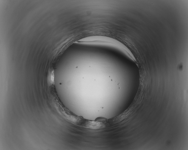 X0000116350095200912151402