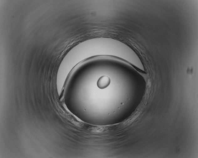 X0000116350096200912151402