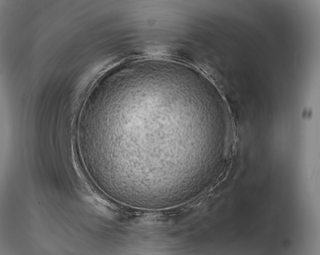 X0000116350097200912151401