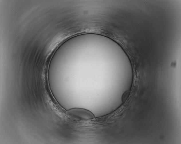 X0000116350098200912151401