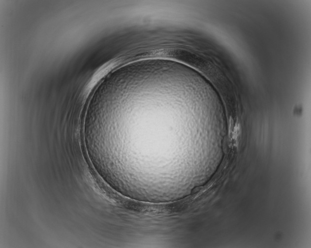 X0000116350099200912151401