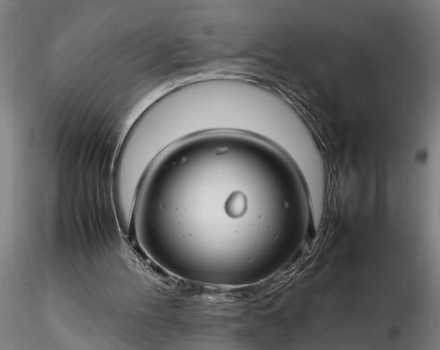 X0000116350100200912151401