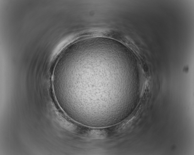 X0000116350101200912151401