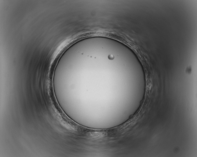 X0000116350102200912151401