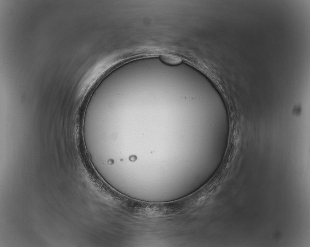 X0000116350103200912151401