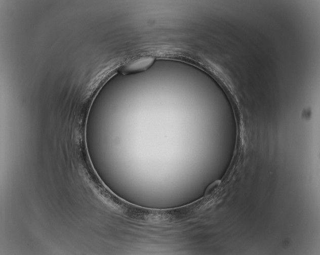 X0000116350105200912151401