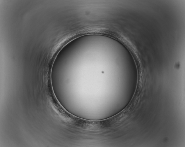 X0000116350107200912151401