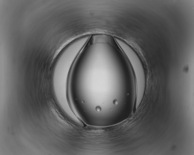 X0000116350108200912151401