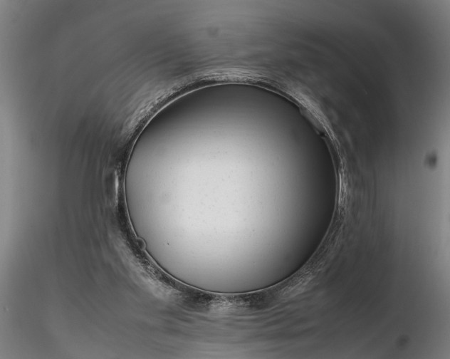 X0000116350109200912151401