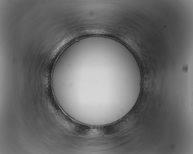 X0000116350111200912151401