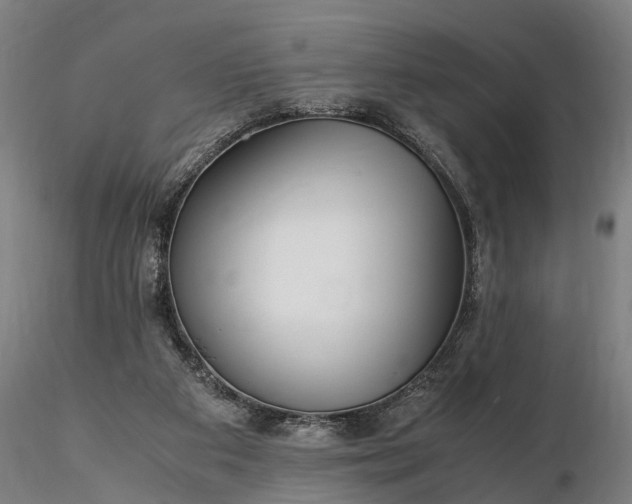 X0000116350113200912151401